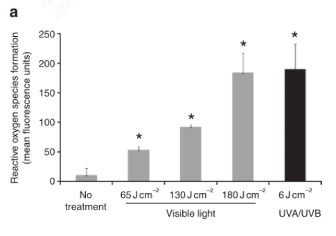 破解白癜风复色困局：从“氧化应激”机制到净衡凝胶的临床新思路