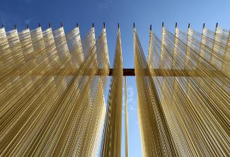 河南潢川：千年空心面牵出亿元大产业