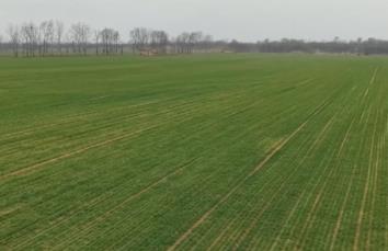 打通农资供应“最后一公里” 高效服务链托稳春耕生产“第一棒”