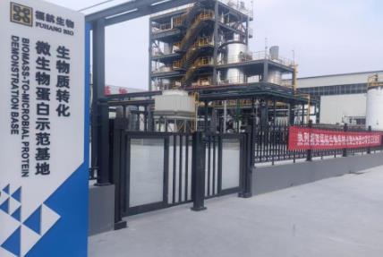 千吨级生物质转化微生物蛋白项目投运