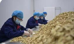 以技破题 甘肃激活民生就业一池春水