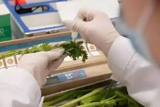 农药残留检测新国标3月1日起正式实施