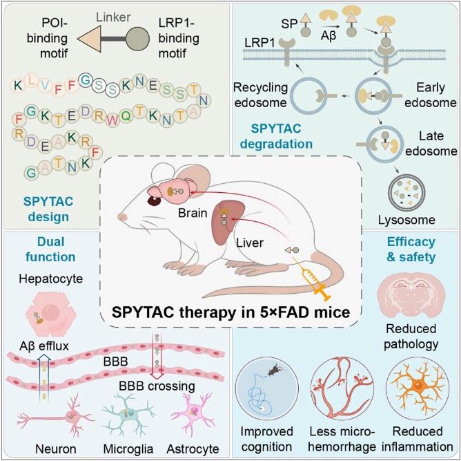 20260306093753176.jpg 20260306093753176.jpg