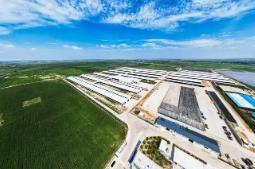 深度对接大市场 内蒙古“内需引擎”轰鸣