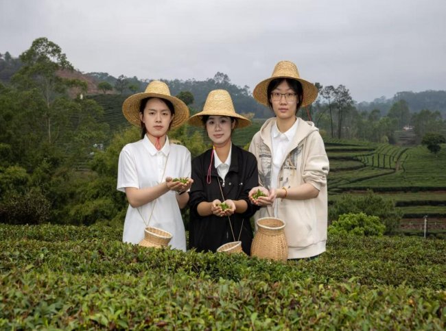 GLEW酵茶破局记：以科技重构发酵美学，让世界品尝“中国智造”的新味道