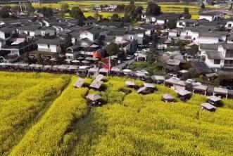 搭上“开往春天的列车” 打卡成雅铁路沿线美景