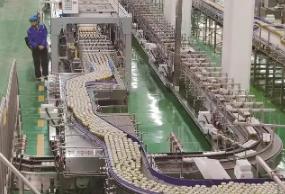 我国营养保健食品行业展现强大韧性市场增长显著