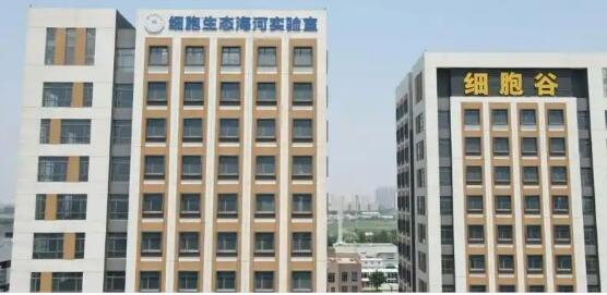 北方首个省级区域细胞制备中心落户天津
