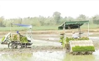 “科技+服务”护航春耕生产 为全年粮食稳产丰收筑牢根基