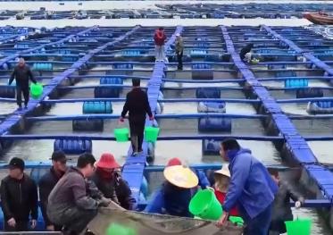 又到“海上春耕”时 “蓝色粮仓”焕发蓬勃生机