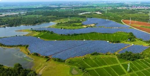 推动全面绿色转型增强绿色发展动能