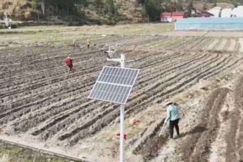 从“靠经验”向“靠数据”转变 科技为农业生产装上了“数字大脑”