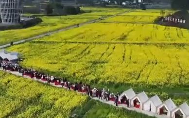 “花田+”新玩法解锁好春光 农文旅融合新业态打造“春日经济”消费新场景