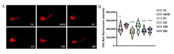 20260316144118399.jpg 20260316144118399.jpg