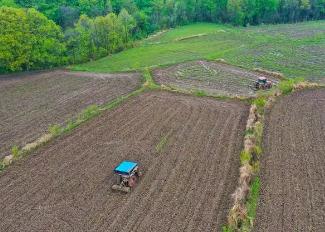 河南：春风入野农事忙