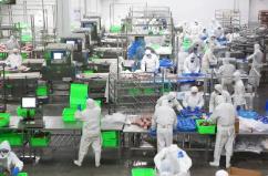 “美食之乡”六合横梁再“迎新”