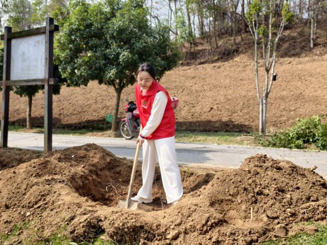 湖北罗田：播撒一抹绿，收获四季春
