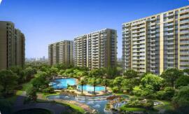 上海调降商业用房首付比例 其他城市料跟进