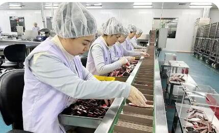 吉林借跨境电商激发开放新动能