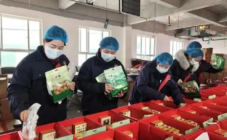 聚全国好核桃 卖全球大市场  陕西洛南全力打造百亿级核桃产业集群