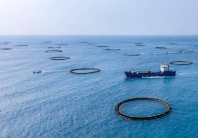 广东以“媒体+”赋能美丽中国先行区建设