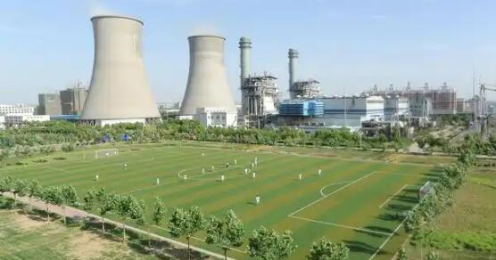 2025年度国家绿色工厂、绿色工业园区名单公布　河南入围数量均居全国第三