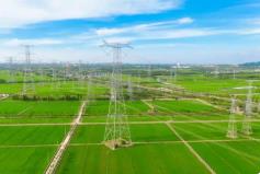 2026年2月全国可再生能源绿色电力证书核发及交易数据公布