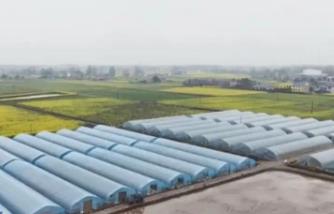 “智慧农机+科技春管”助力春耕备耕不仅跑出“加速度”更育出“高质量”