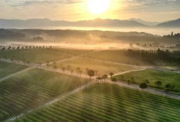 湖北加快打造新时代“鱼米之乡”