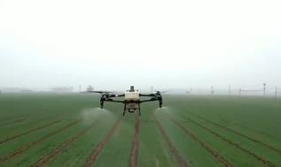 河南8500多万亩小麦进入春管期 科技显身手