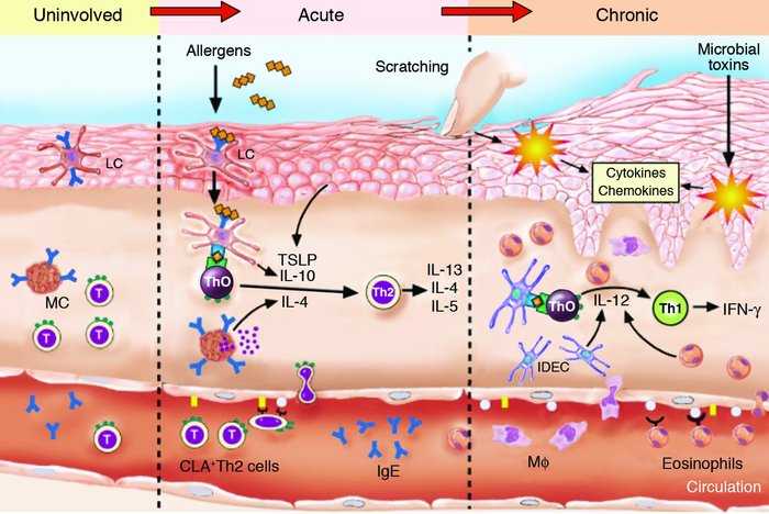 1773993285226646.png 1773993285226646.png