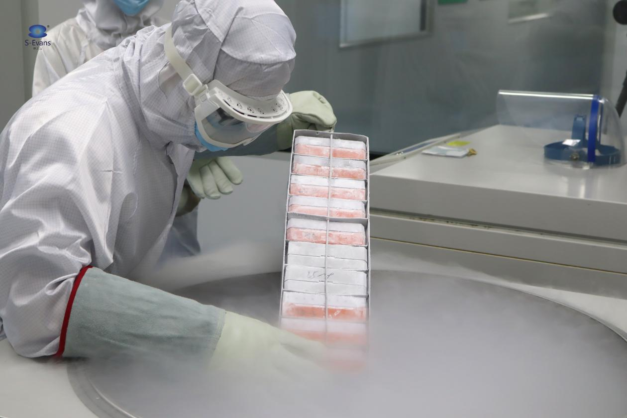 1773993295267141.png 1773993295267141.png