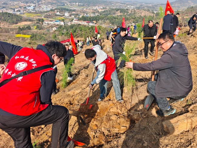 “植”此青绿 共“树”未来