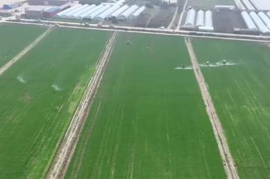 争农时、抢春管、推技术、保丰产 农业科技助力下好春耕生产“先手棋”