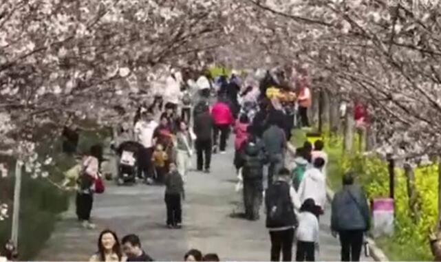 各地打造消费新场景 激发市场新活力