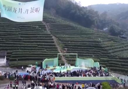 传统茶文化“邂逅”年轻潮流 新风尚尽显春日茶产业勃勃生机