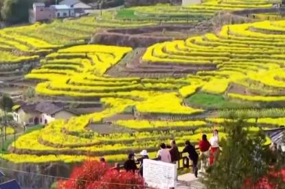 “乡村美景+农家生活”沉浸式赏花引客来 村民在家门口吃上“旅游饭”