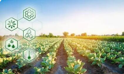 科学管护 综合施策  四川以科技赋能春季农业生产