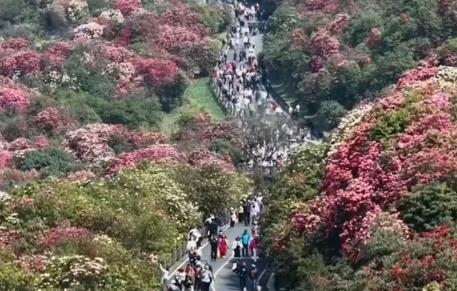 “花样经济”升温“花式”解锁好春光新业态新场景让“流量”变“留量”