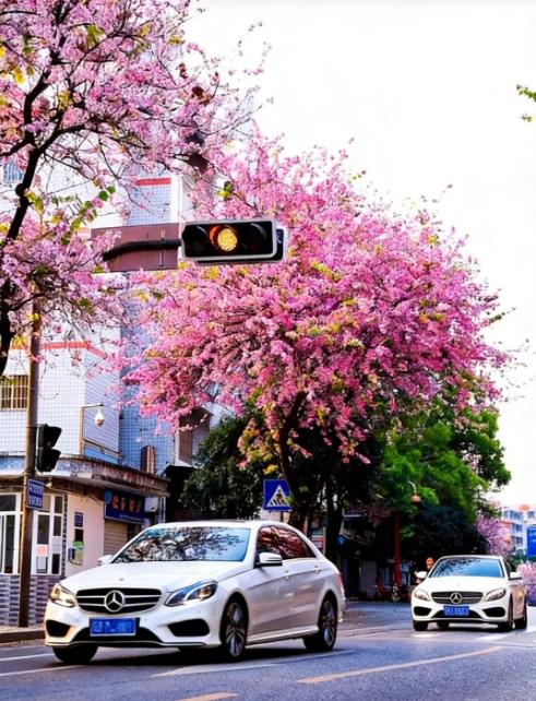 20260331174152284.jpg 20260331174152284.jpg