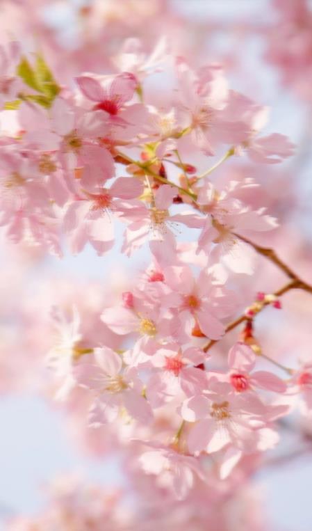 20260331174737331.jpg 20260331174737331.jpg