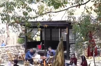 赏花观鸟游“催热”春日经济 以生态优势为媒激活多元业态“新”活力