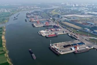 河南周口：打造中原出海新门户