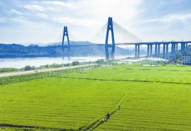 四川：春耕一线，看见“三变”