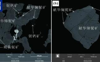 找矿+1！内蒙古又一稀土新矿物获国际认证