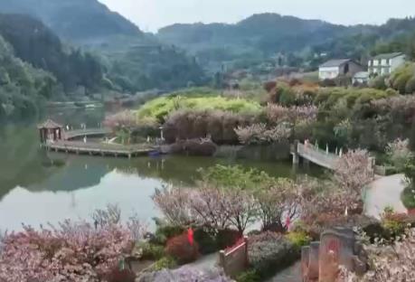 “赏花+”多业态蓬勃发展 农文旅融合让乡村“颜值”变“产值”