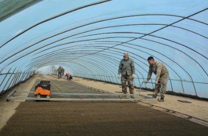 黑龙江省各地有序展开小麦春播和水稻育秧