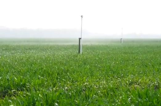 农业“新技术+新装备”勾勒绚丽“科技春耕图” 传统农耕图景变成智慧农业现场