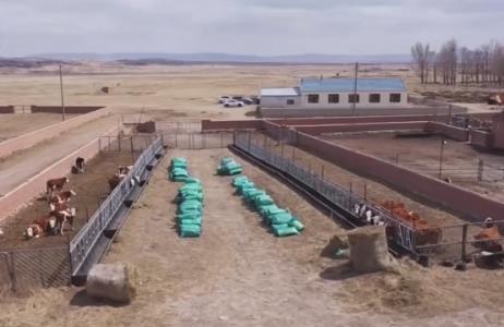 内蒙古呼伦贝尔近亿亩草原进入休牧期