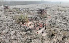 “中国鸭梨之乡”邯郸魏县：书写一颗梨的“无限可能”